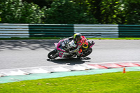cadwell-no-limits-trackday;cadwell-park;cadwell-park-photographs;cadwell-trackday-photographs;enduro-digital-images;event-digital-images;eventdigitalimages;no-limits-trackdays;peter-wileman-photography;racing-digital-images;trackday-digital-images;trackday-photos